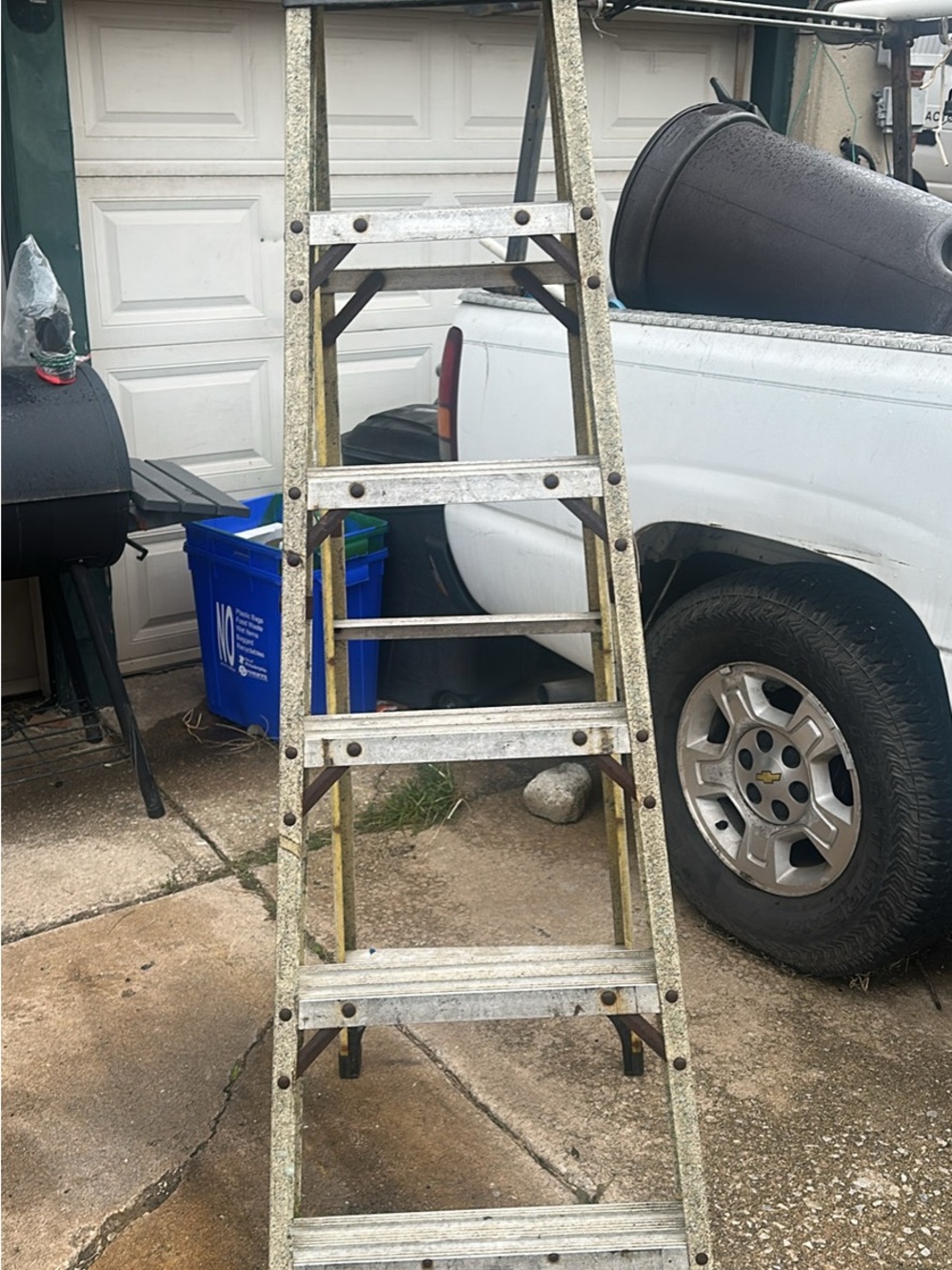Husky Ladder - Picture 2 of 2